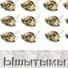 Ышытым